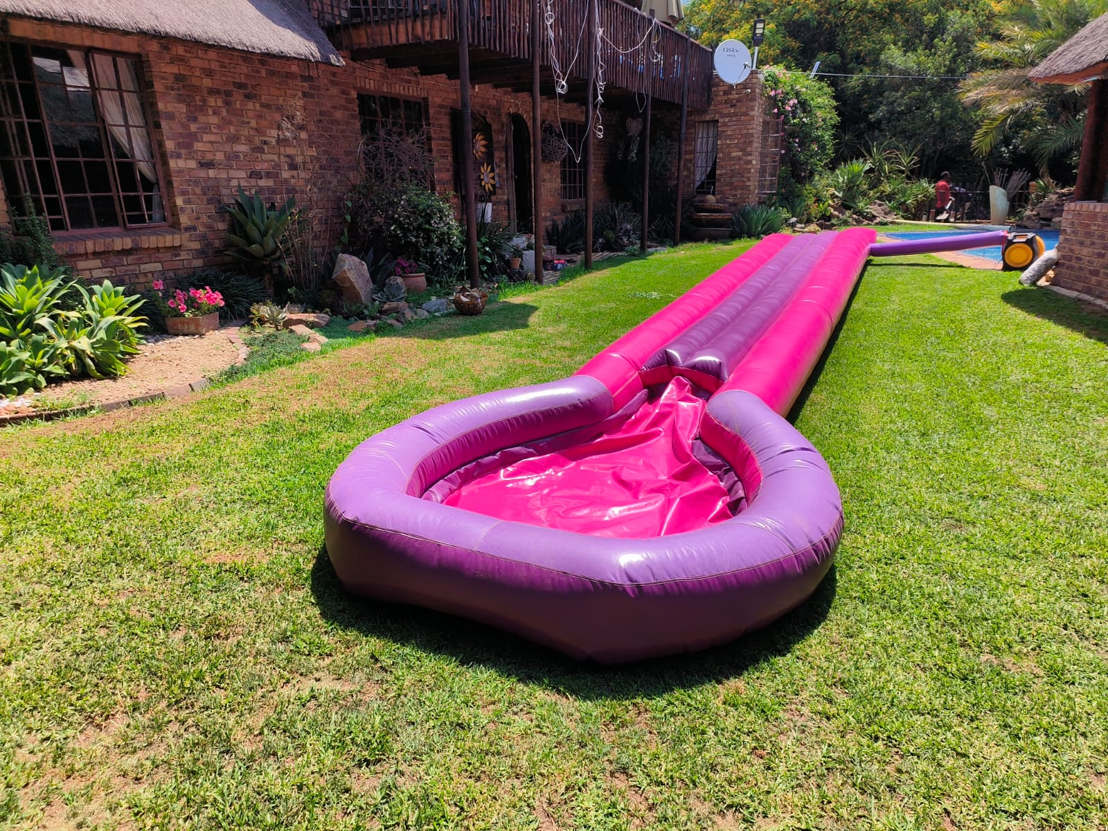 Waterslide Purple